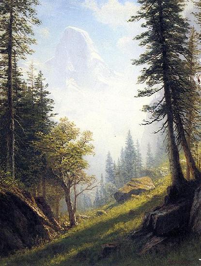 Albert Bierstadt Among the Bernese Alps France oil painting art